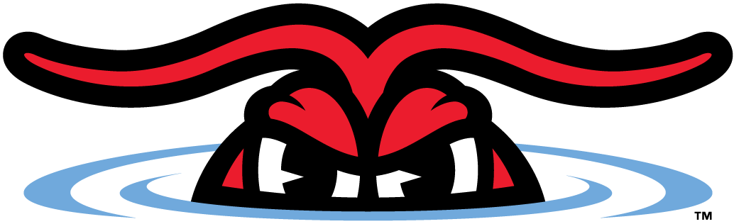 Hickory Crawdads 2016-Pres Alternate Logo v2 iron on transfers for T-shirts